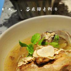 海底椰鸭肉汤的做法,海底椰鸭肉汤怎么做